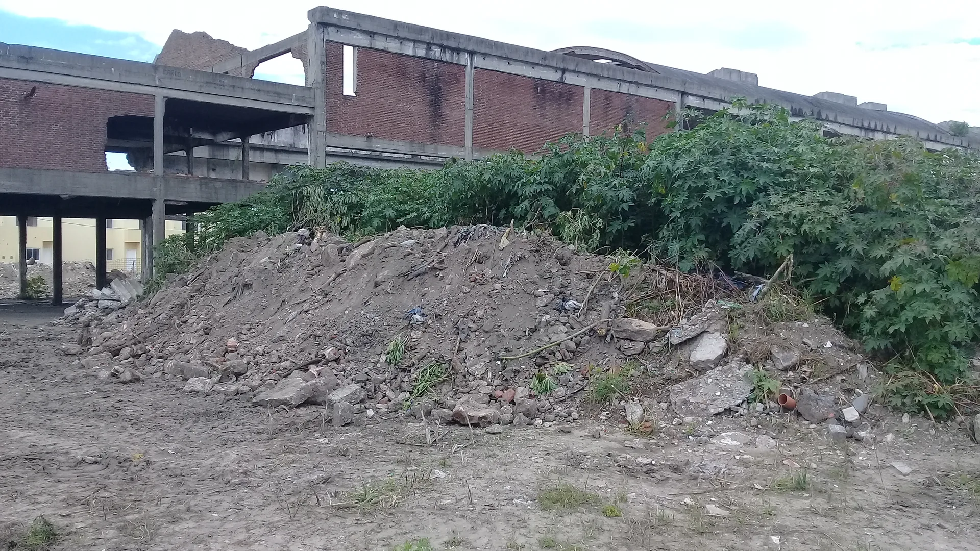 Coordinación ICCE DINALE - Foto 3