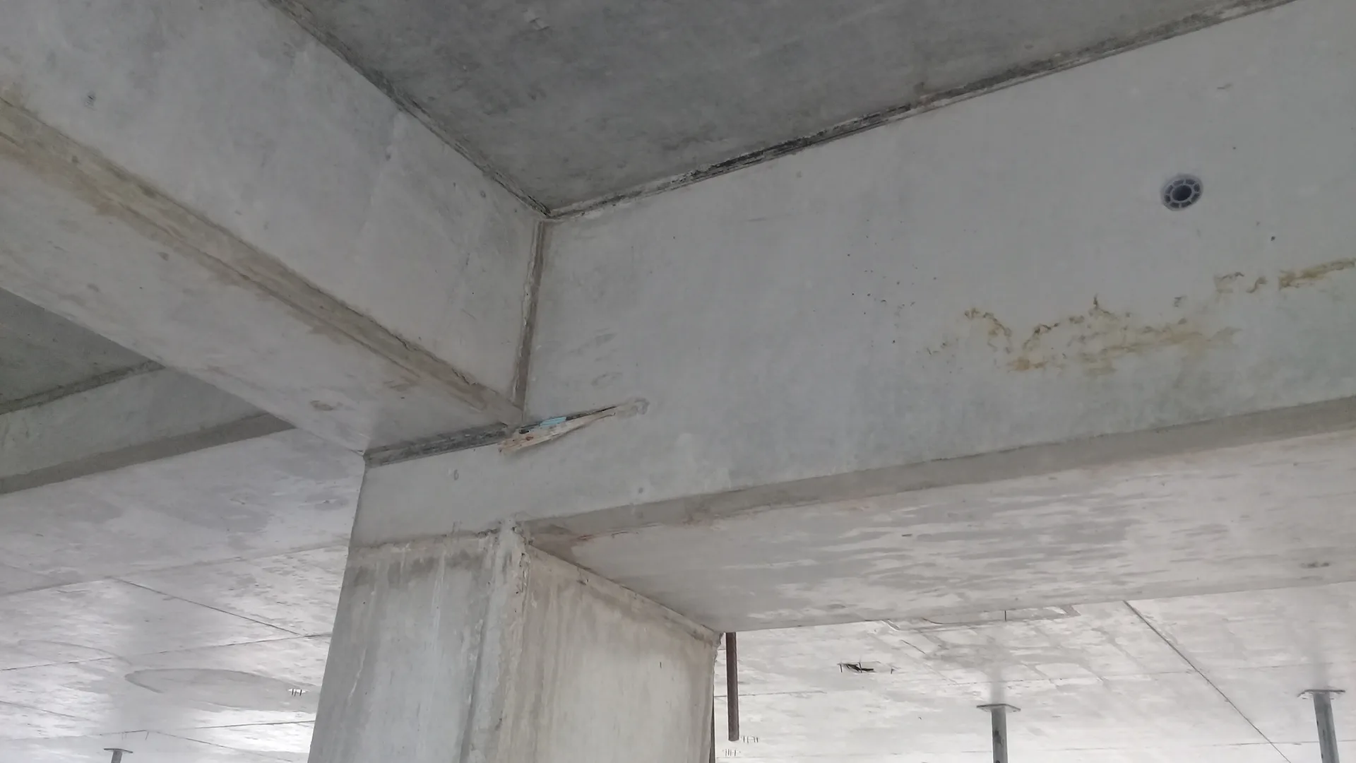 Coordinación ICCE DINALE - Foto 36