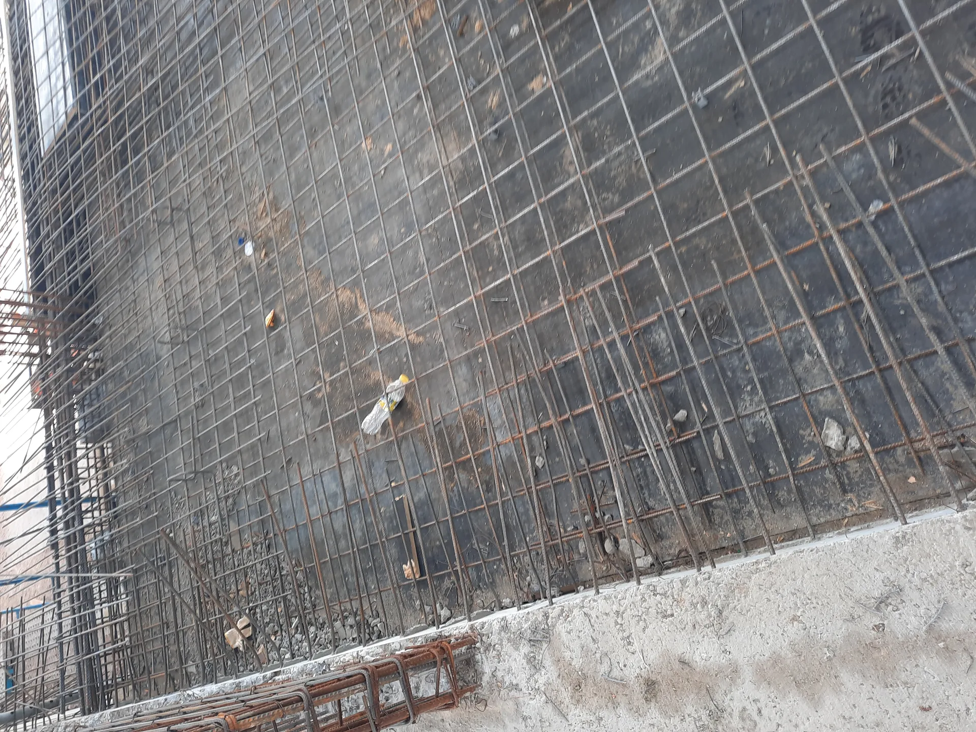 Coordinación ICCE DINALE - Foto 59