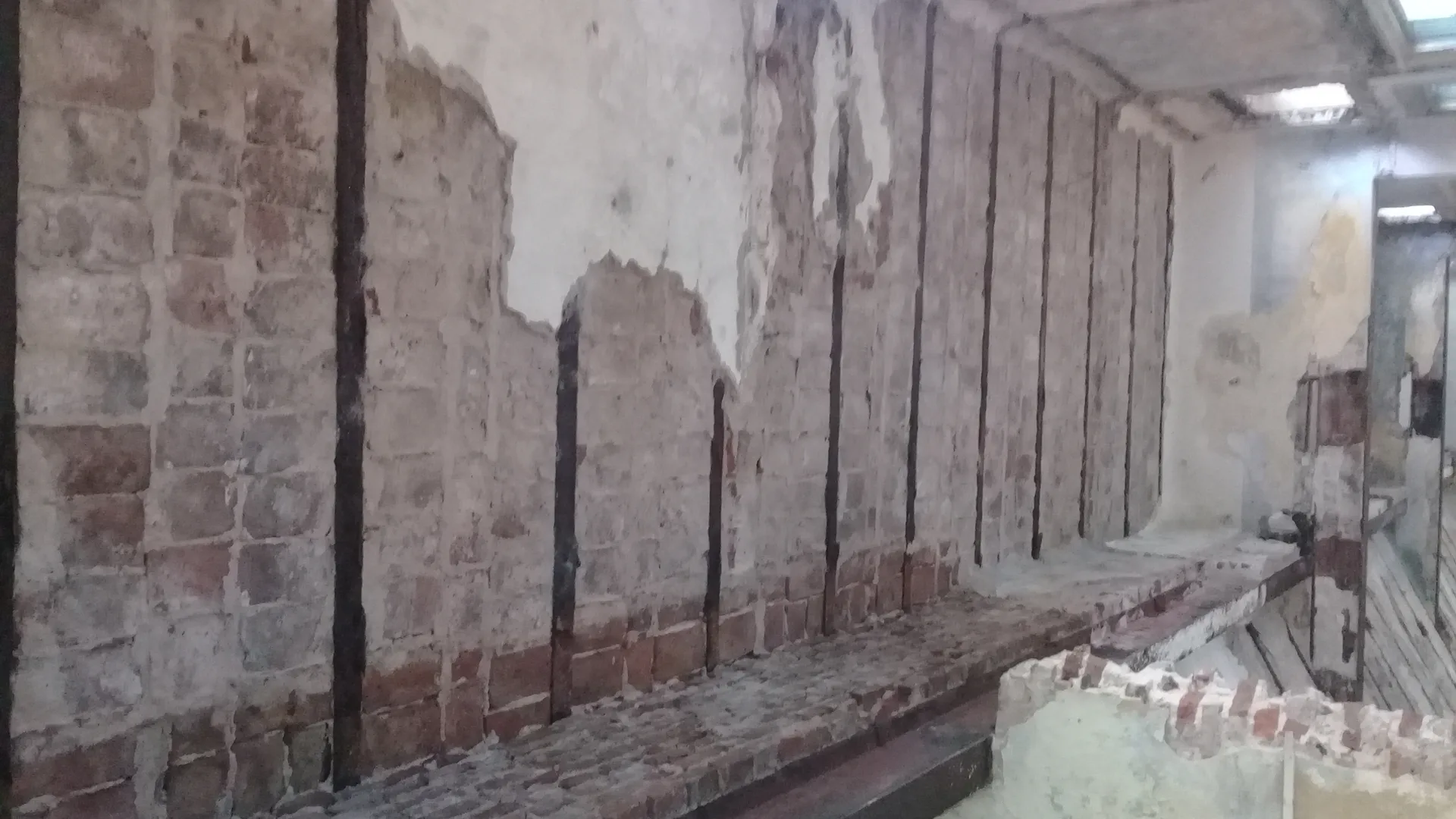 Supervisión La Rural DINALE Rosario - Foto 21