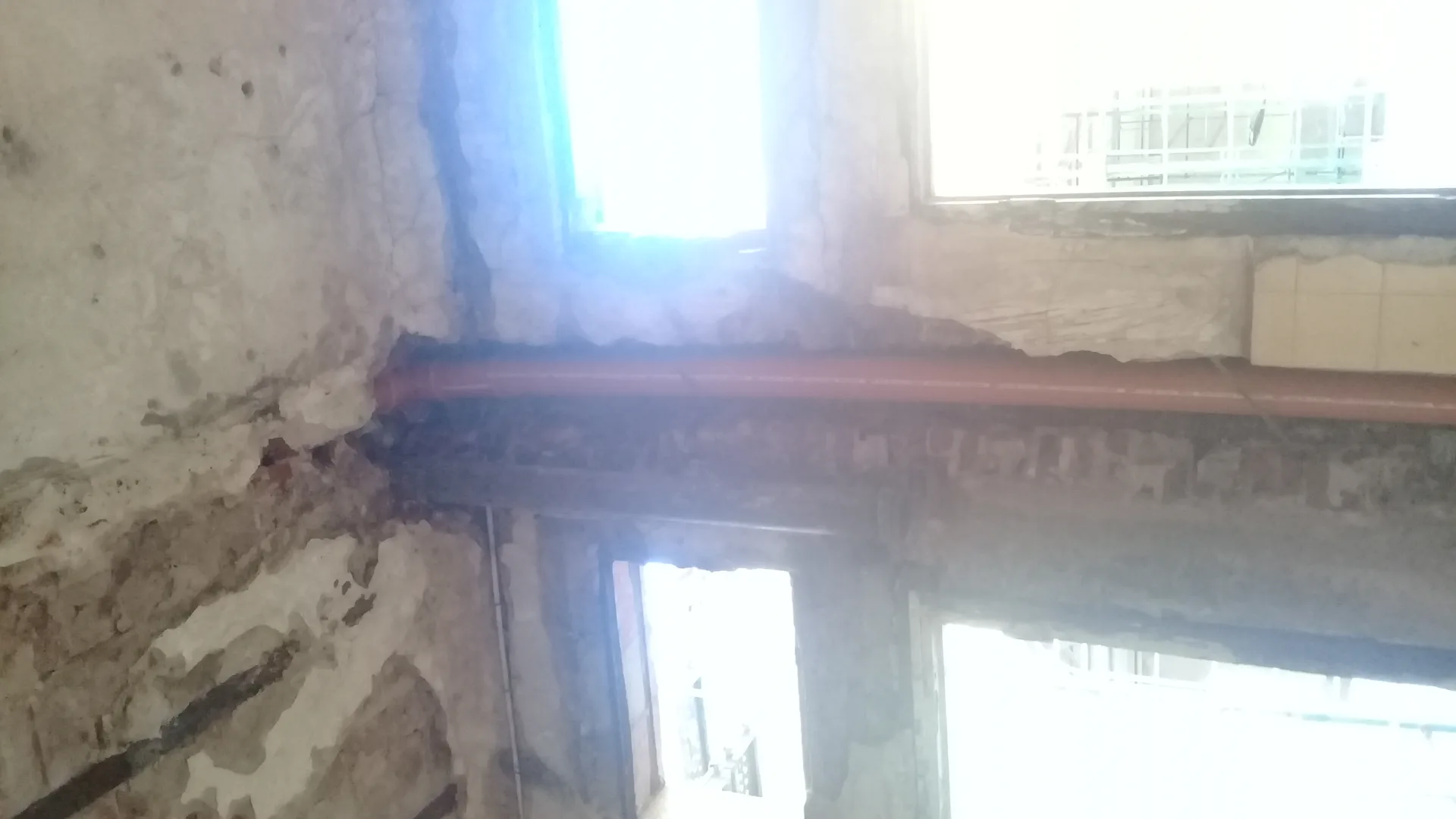 Supervisión La Rural DINALE Rosario - Foto 23