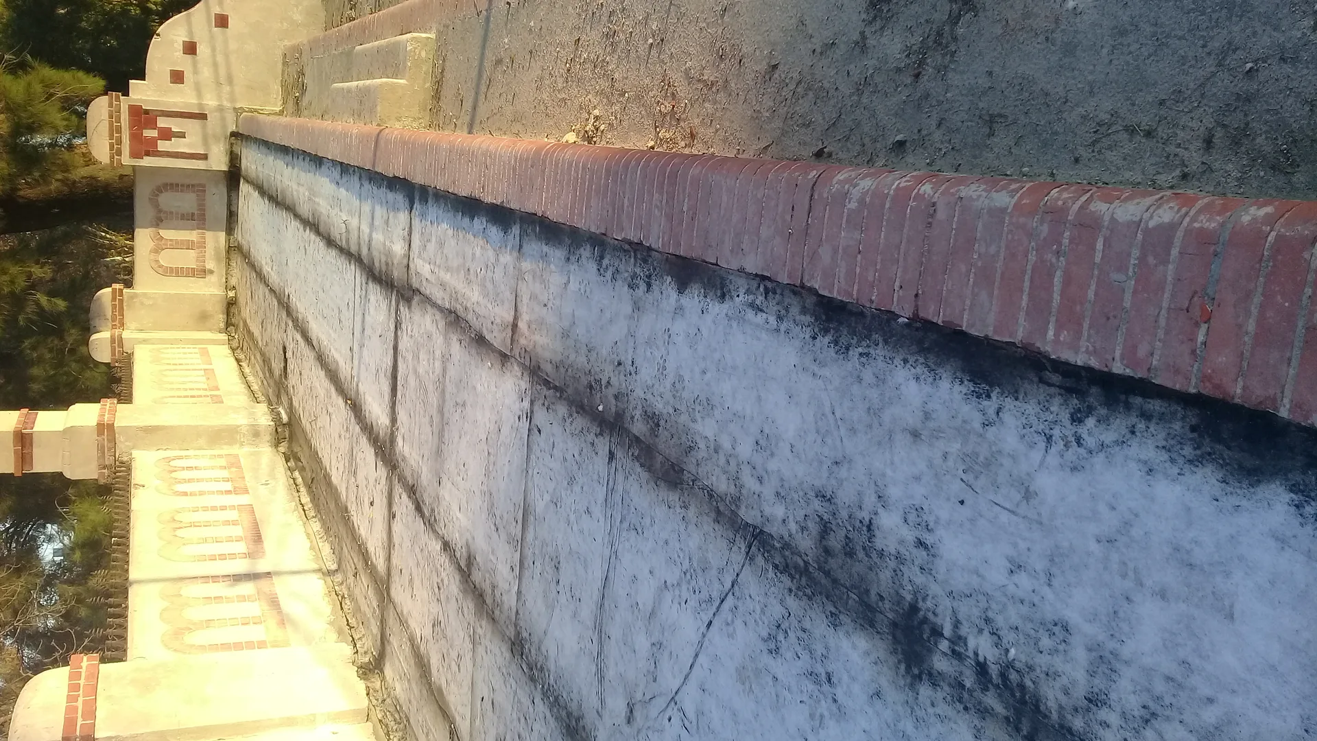 Supervisión La Rural DINALE Rosario - Foto 27