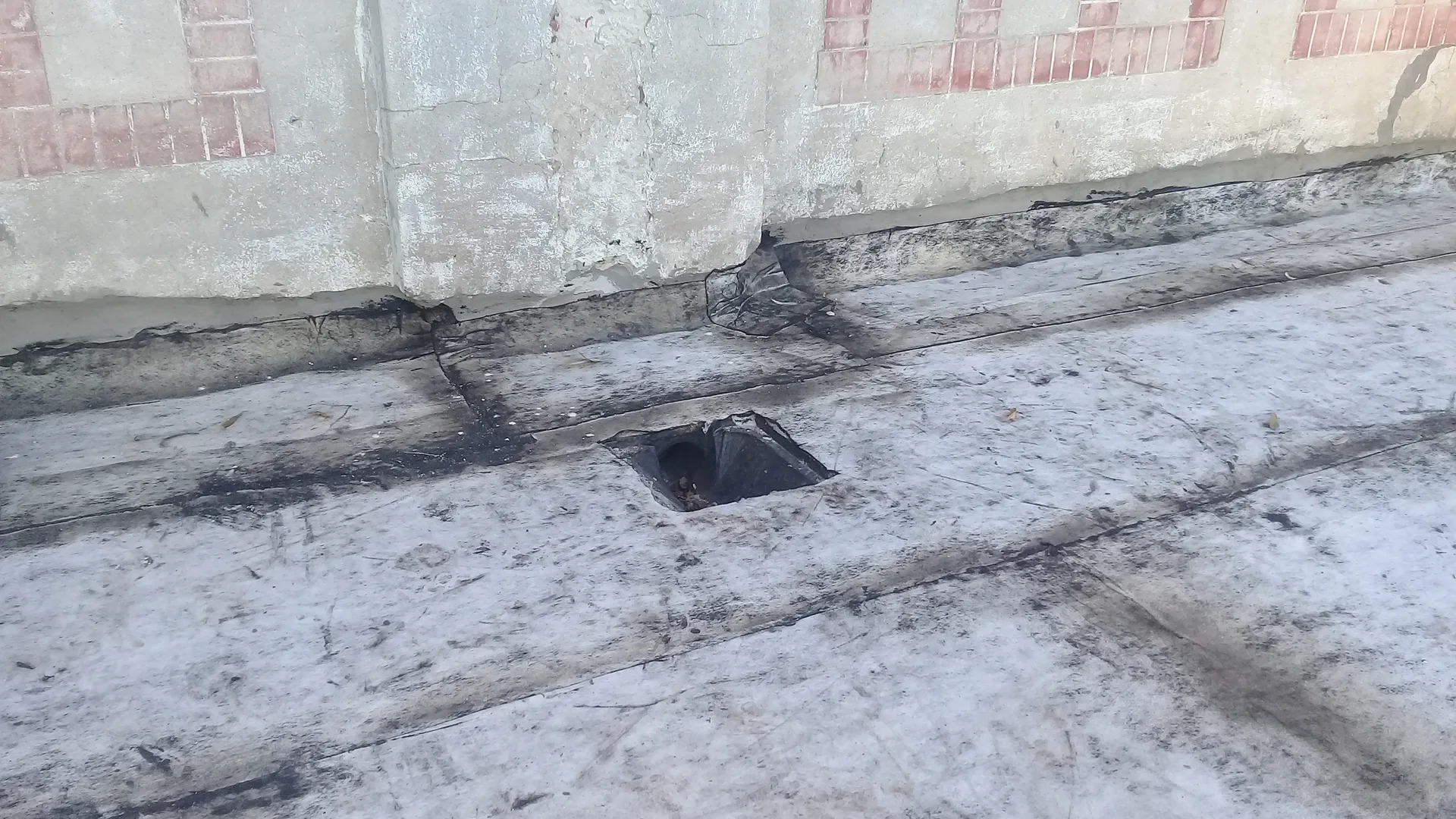 Supervisión La Rural DINALE Rosario - Foto 28