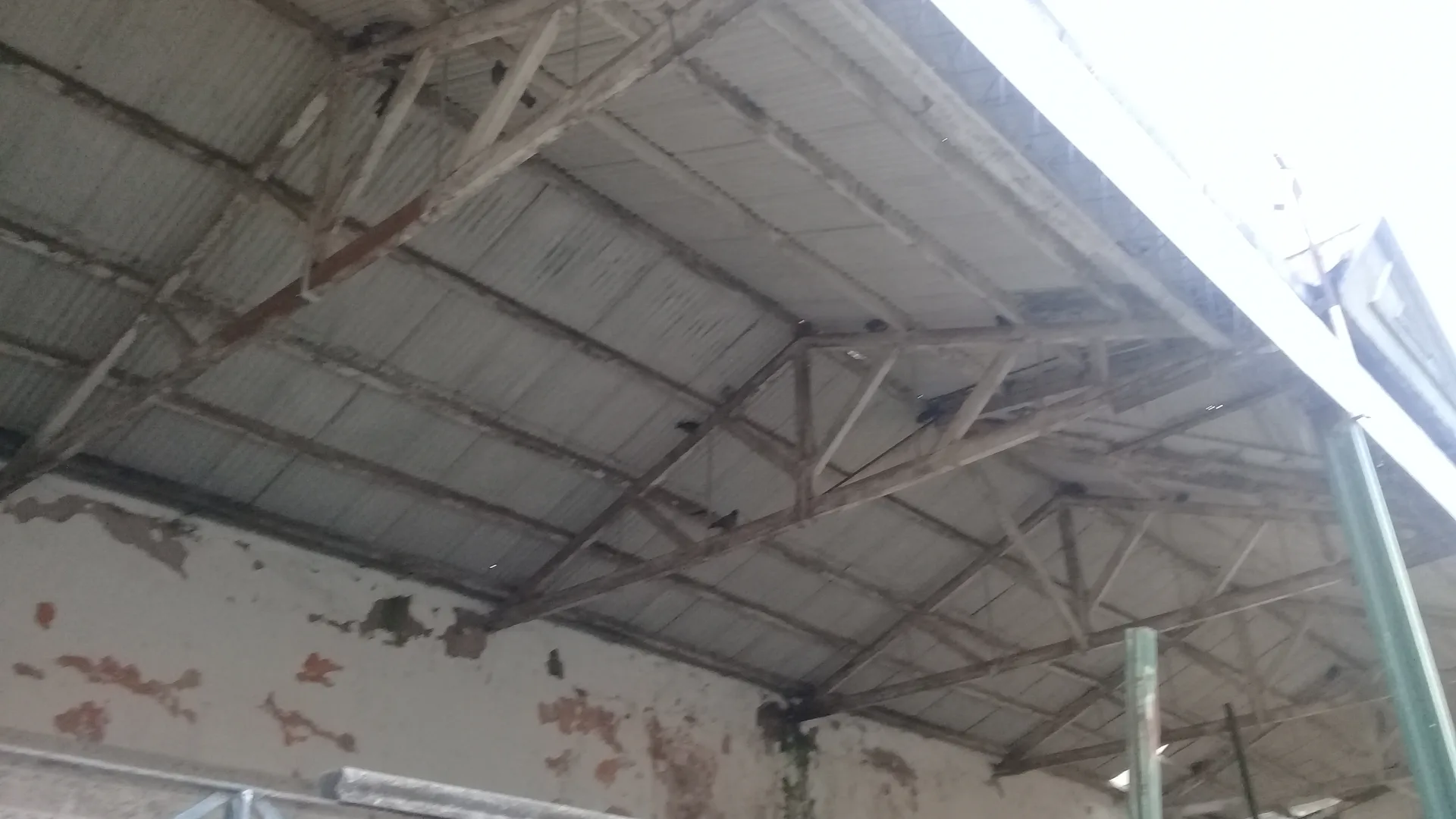 Supervisión La Rural DINALE Rosario - Foto 51