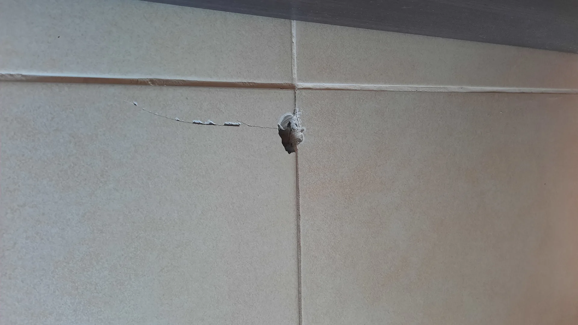 Casa Rausch-Diviani Rosario - Foto 22