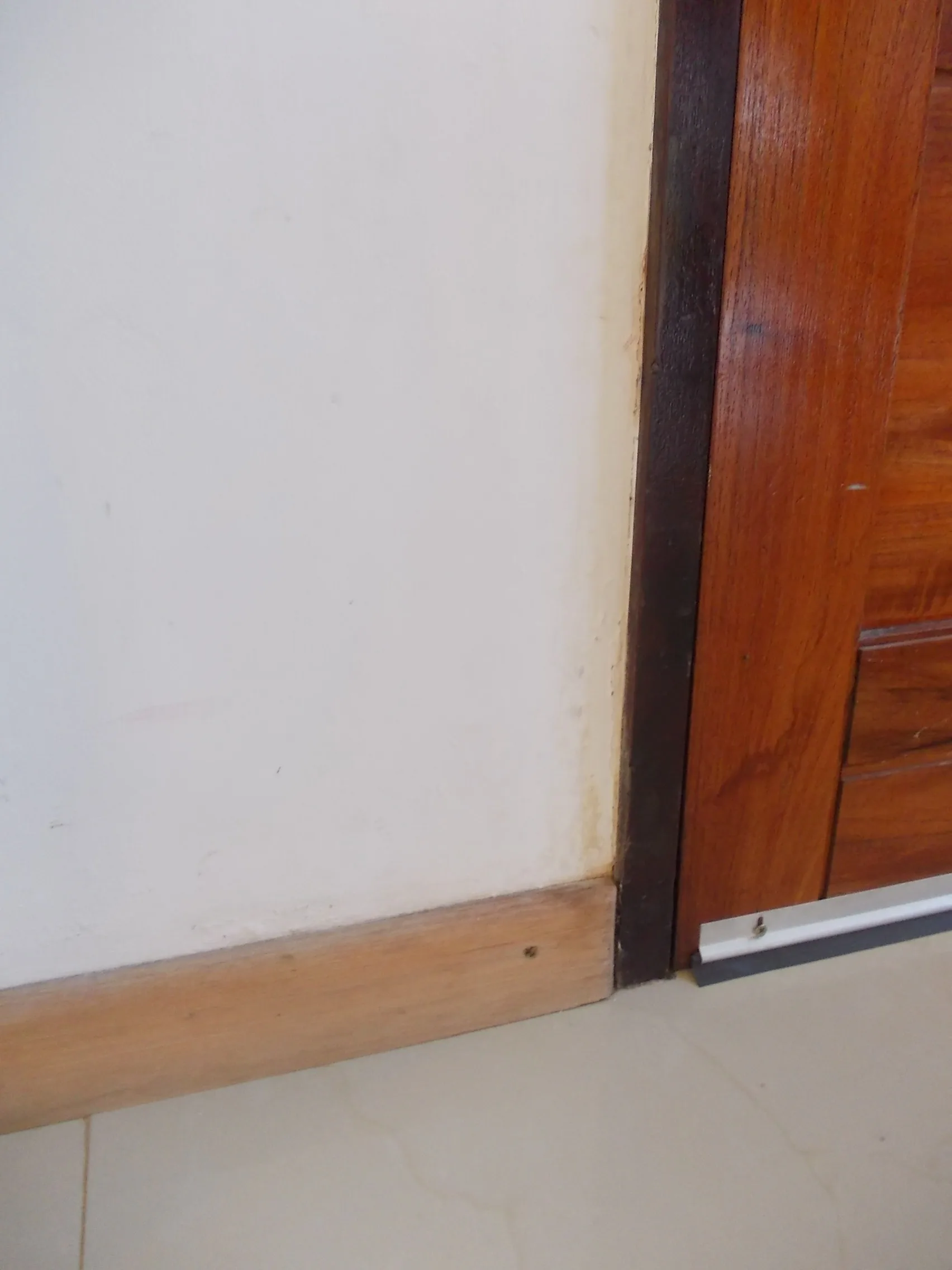 Vivienda Kentucky Rosario - Foto 28