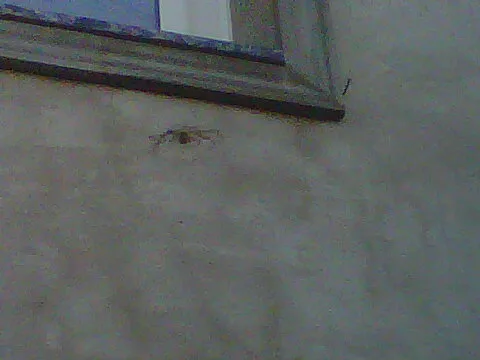 Vivienda Bacovcik Miraflores Rosario - Foto 161